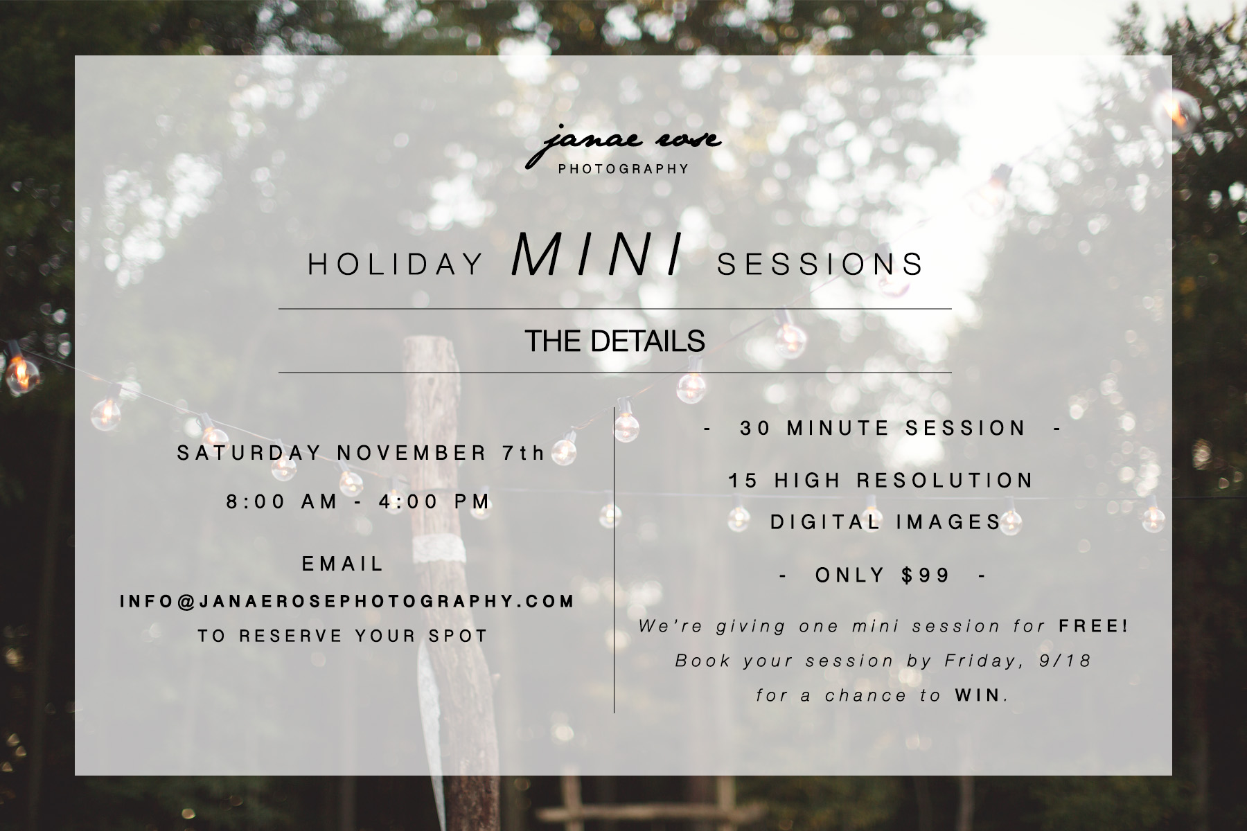 HOLIDAY MINI SESSIONS