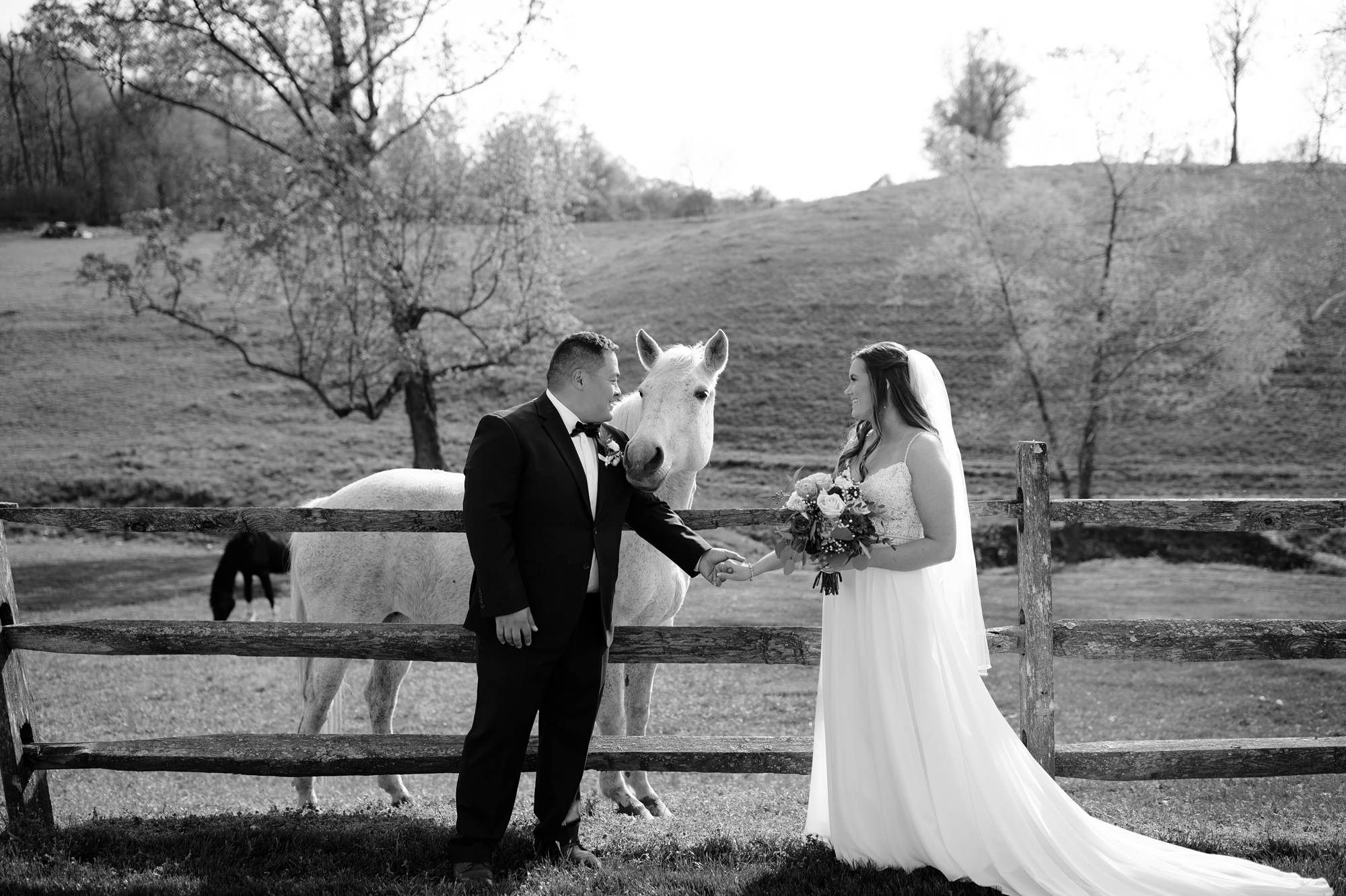 Lancaster Fine Art Wedding Photographer, Lancaster, Pa Farm Wedding, Smoker Farm Weddings