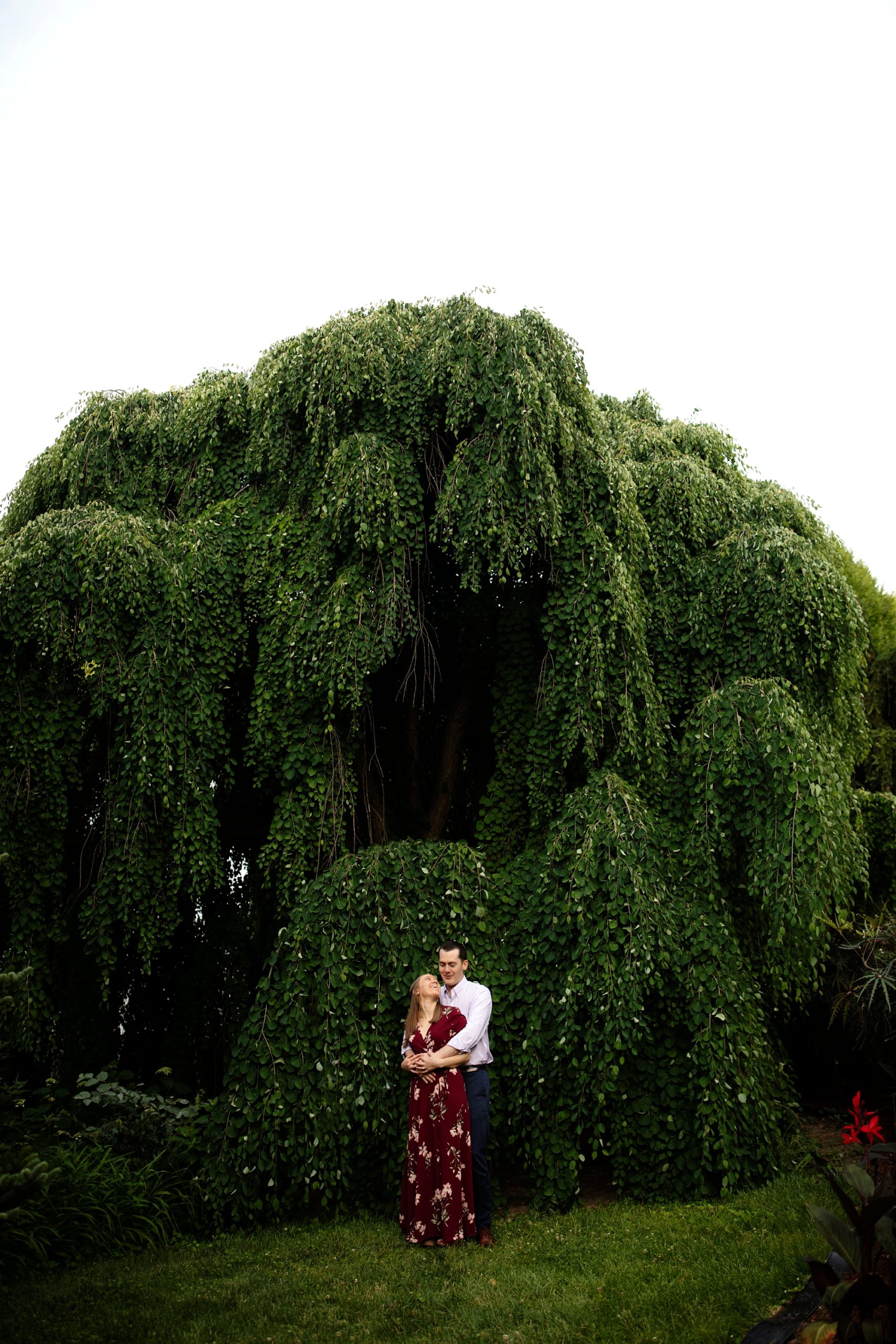 Brookside Garden, Wheaton Maryland Engagement Photos, Maryland Wedding and Engagement Photographer