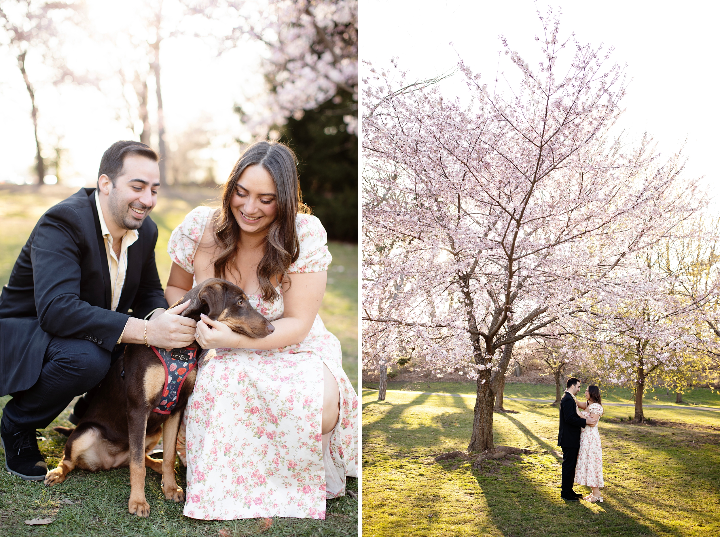 Branch Brook Park NJ Engagement Photos, Cherry Blossom Engagement Photos-New Jersey Wedding and Engagement Photographer